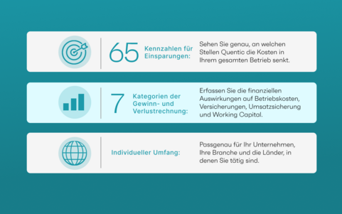 Übersicht ROI-Rechner: 65 Kennzahlen für Einsparungen, 7 GuV-Kategorien, individueller Umfang je Unternehmen und Land.